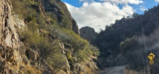 Screenshot_20240214_121728_Gallery_copy_1600x746.jpg Screenshot_20240214_121728_Gallery_copy_1600x746.jpg