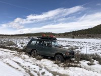 IMG_2120.jpeg IMG_2120.jpeg