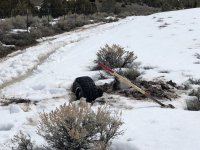 IMG_2121.jpeg IMG_2121.jpeg