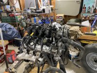 IMG_4464.jpeg IMG_4464.jpeg