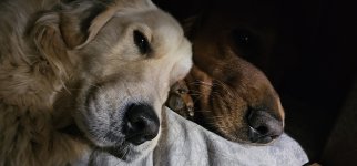 20240203_190401_copy_1600x747.jpg 20240203_190401_copy_1600x747.jpg