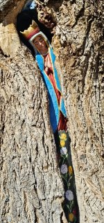 20240204_131403_copy_349x747.jpg 20240204_131403_copy_349x747.jpg