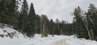 20240206_114437_copy_1600x747.jpg 20240206_114437_copy_1600x747.jpg