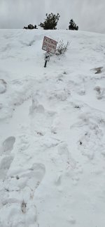 20240206_120019_copy_349x747.jpg 20240206_120019_copy_349x747.jpg