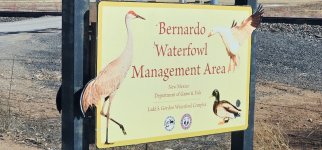 Screenshot_20240221_150631_Gallery_copy_1600x746.jpg Screenshot_20240221_150631_Gallery_copy_1600x746.jpg