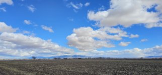 20240207_123040_copy_1600x747.jpg 20240207_123040_copy_1600x747.jpg