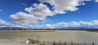 20240207_123326_copy_1600x747.jpg 20240207_123326_copy_1600x747.jpg