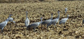 20240207_121802_copy_1600x747.jpg 20240207_121802_copy_1600x747.jpg