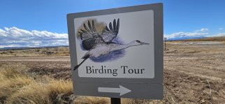 20240207_115640_copy_1600x747.jpg 20240207_115640_copy_1600x747.jpg