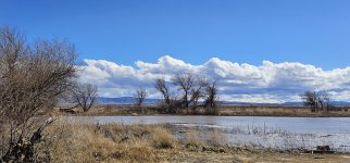 20240207_120807_copy_1600x747.jpg 20240207_120807_copy_1600x747.jpg