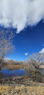 20240207_121424_copy_349x747.jpg 20240207_121424_copy_349x747.jpg