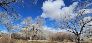 20240207_120941_copy_1600x747.jpg 20240207_120941_copy_1600x747.jpg