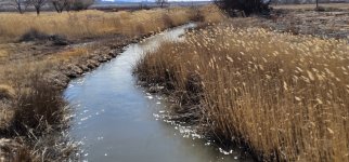 20240207_113114_copy_1600x747.jpg 20240207_113114_copy_1600x747.jpg