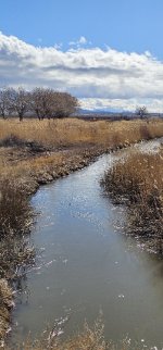 20240207_113135_copy_349x747.jpg 20240207_113135_copy_349x747.jpg