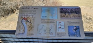 20240207_113344_copy_1600x747.jpg 20240207_113344_copy_1600x747.jpg