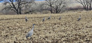 20240207_121710_copy_1600x747.jpg 20240207_121710_copy_1600x747.jpg