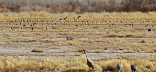 20240207_112442_copy_1600x747.jpg 20240207_112442_copy_1600x747.jpg