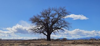 20240207_112746_copy_1600x747.jpg 20240207_112746_copy_1600x747.jpg