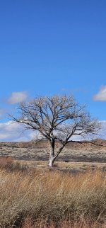 20240207_114133_copy_349x747.jpg 20240207_114133_copy_349x747.jpg