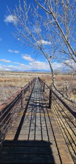 20240207_114402_copy_349x747.jpg 20240207_114402_copy_349x747.jpg