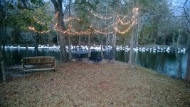 20140106 Swamp with Birds and Lights in Evening.jpg 20140106 Swamp with Birds and Lights in Evening.jpg