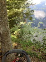 1708609901013.png 1708609901013.png