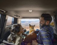 toyota-register-for-updates-2024-land-cruiser-cargo-l.jpg toyota-register-for-updates-2024-land-cruiser-cargo-l.jpg