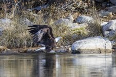 Goldwater Lake Feb 2023-36-2.jpg