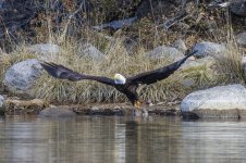 Goldwater Lake Feb 2023-38-2.jpg
