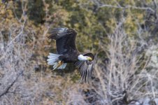 Goldwater Lake Feb 2023-46-2.jpg