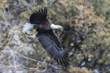 Goldwater Lake Feb 2023-48-2.jpg