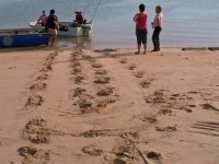 06w04 (40).JPG 06w04 (40).JPG