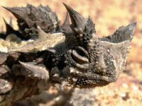 06w09 (38).JPG 06w09 (38).JPG