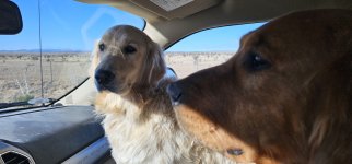 20240208_092413_copy_1600x747.jpg 20240208_092413_copy_1600x747.jpg