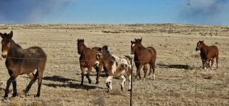 20240207_160449_copy_1600x747.jpg 20240207_160449_copy_1600x747.jpg