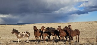 20240207_160539_copy_1600x747.jpg 20240207_160539_copy_1600x747.jpg