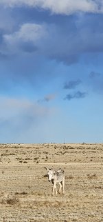 20240207_160525_copy_349x747.jpg 20240207_160525_copy_349x747.jpg