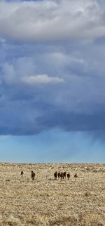 20240207_160421_copy_349x747.jpg 20240207_160421_copy_349x747.jpg