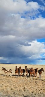 Screenshot_20240207_180058_Gallery_copy_348x747.jpg Screenshot_20240207_180058_Gallery_copy_348x747.jpg