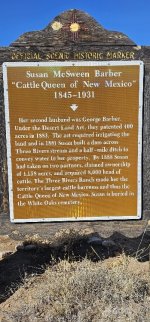 20240208_103318_copy_349x747.jpg 20240208_103318_copy_349x747.jpg