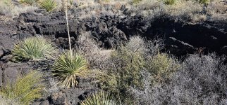 20240208_115740_copy_1200x560.jpg 20240208_115740_copy_1200x560.jpg