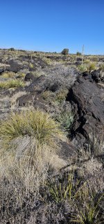 20240208_115800_copy_1200x2570.jpg 20240208_115800_copy_1200x2570.jpg