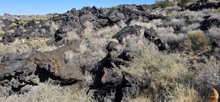 20240208_120609_copy_1200x560.jpg 20240208_120609_copy_1200x560.jpg