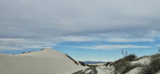 20240209_082709_copy_1600x747.jpg 20240209_082709_copy_1600x747.jpg