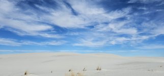 20240209_092413_copy_1600x747.jpg 20240209_092413_copy_1600x747.jpg