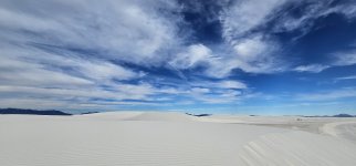 20240209_091531_copy_1600x747.jpg 20240209_091531_copy_1600x747.jpg