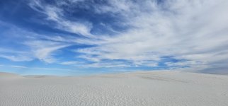 20240209_093519_copy_1600x747.jpg 20240209_093519_copy_1600x747.jpg