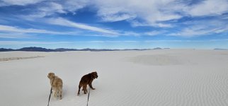 20240209_092740_copy_1600x747.jpg 20240209_092740_copy_1600x747.jpg