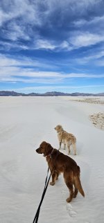 20240209_092940_copy_349x747.jpg 20240209_092940_copy_349x747.jpg