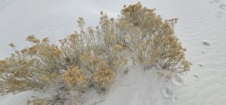 20240209_094745_copy_1600x747.jpg 20240209_094745_copy_1600x747.jpg